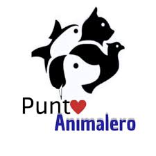 estética canina en hermosillo